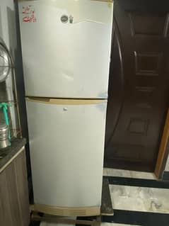 pel company refrigerator