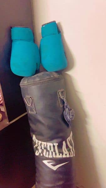 boxing pad with pair of gloves plus dumbles of 5 kg 0