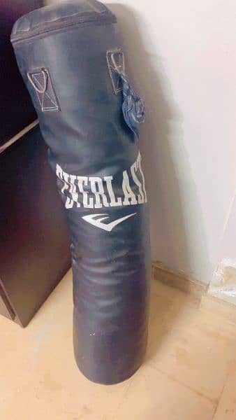 boxing pad with pair of gloves plus dumbles of 5 kg 2