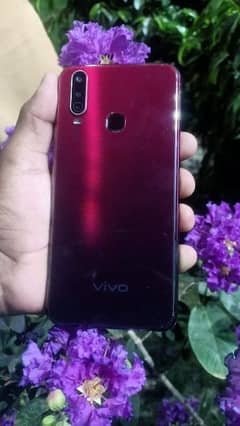 Vivo Y17