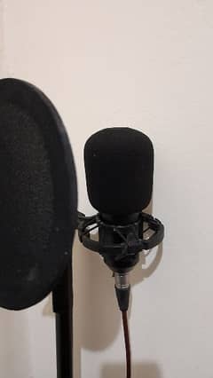 Microphone (BM-800) with power supply