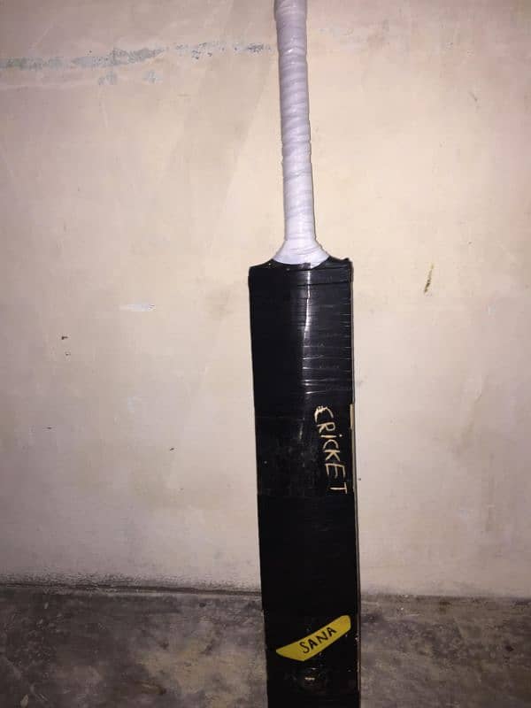 cricket bat 1