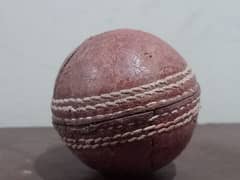 Hard Cricket Ball