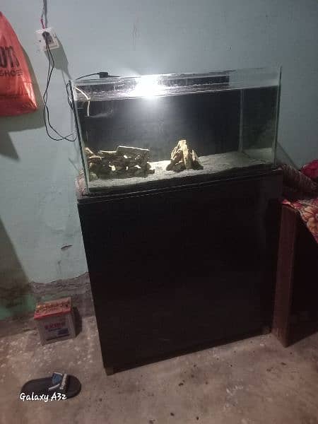 big cichilds Aquarium 3