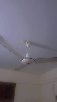 pak fan Ac Ceiling fan 99.99 % Cooper