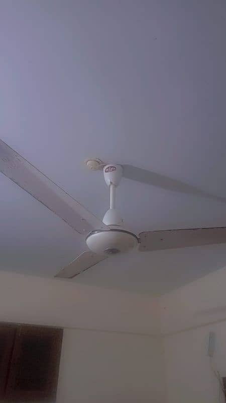 pak fan Ac Ceiling fan 99.99 % Cooper 0