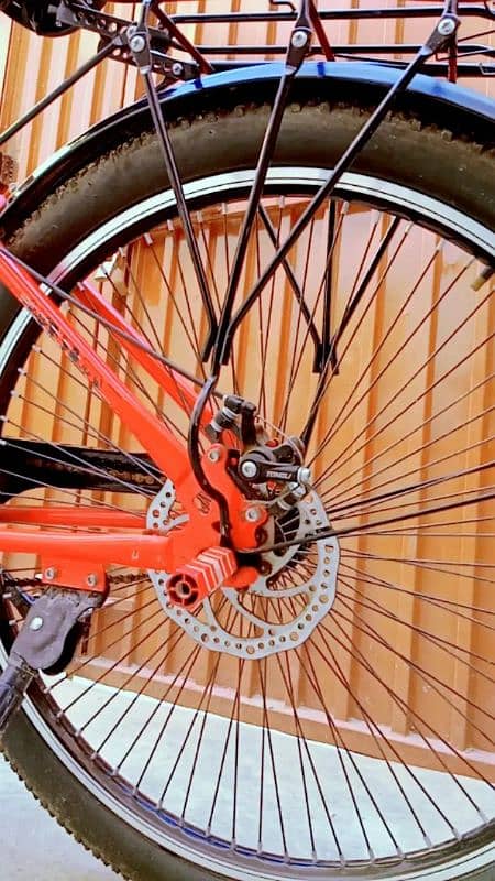 Bicycles Classic Duel disk brakes 3