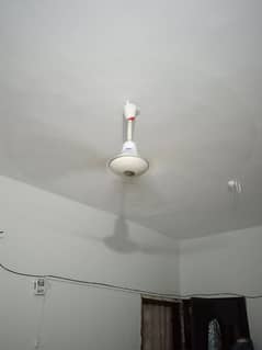 floor and pedestal fan