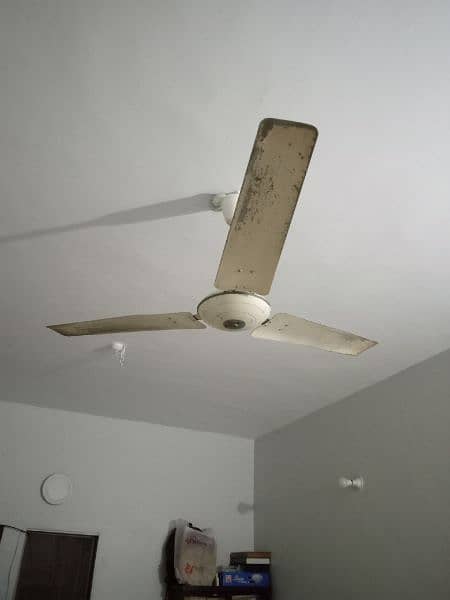 floor and pedestal fan 1