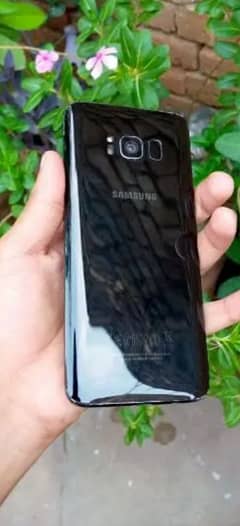 samsung s8 officially approved