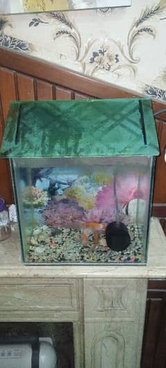 Aquarium for Sale