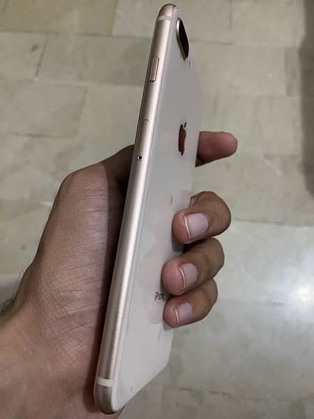 iPhone 8 Plus 3