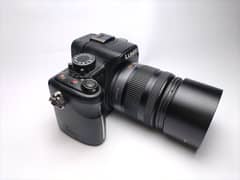 Lumix g2 Mirrorless Camera