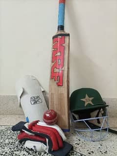 cricket Bat,ball, helmet,gloves,thighs.