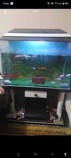 Aquarium Fish Tank