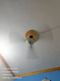 SeelinG Fan FoR Sale 100% Copper