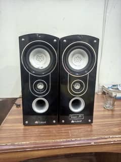 Audionic classic 6 speaker