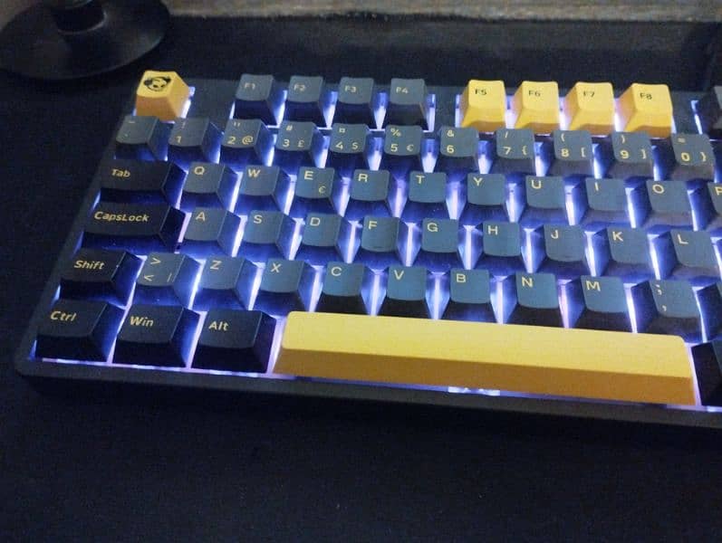 gaming mechanical keyboard (akko) 2