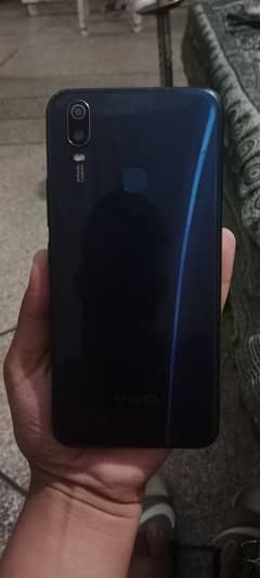 vivo