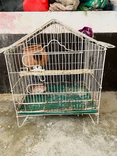 2 Cages For Sale