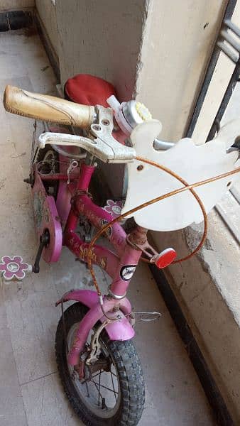 Kids Cycle Original and Imported 1