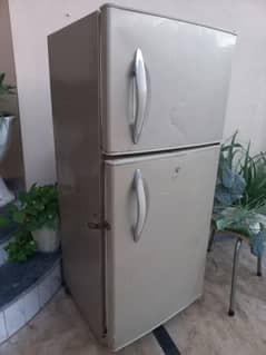 Refrigerator or Fridge