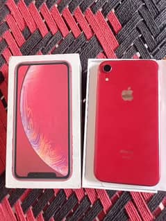 iPhone xr pta approved