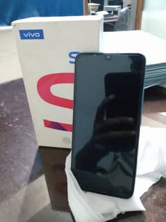 vivo