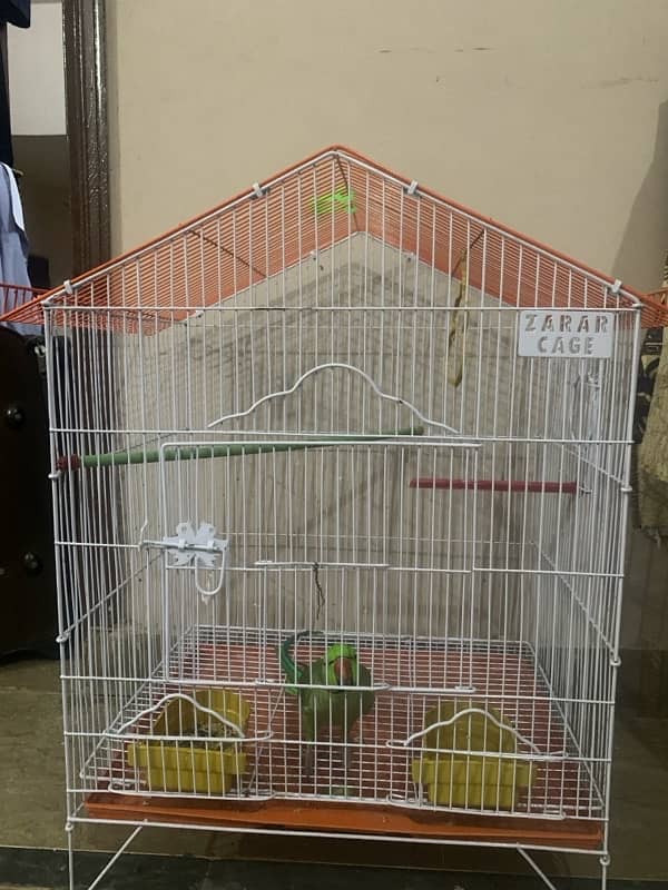 A birds cage, cage for breeding price 2000Rs 2