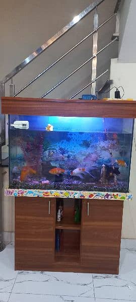 19,500 Fish Aquarium  | fish tank |Fish Aquarium with wooden stand 0