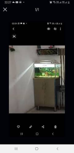 aquarium only 4000