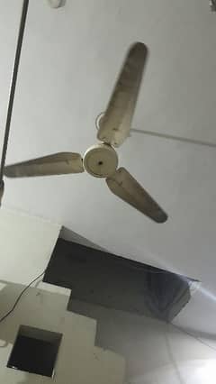 ceiling fan for sale