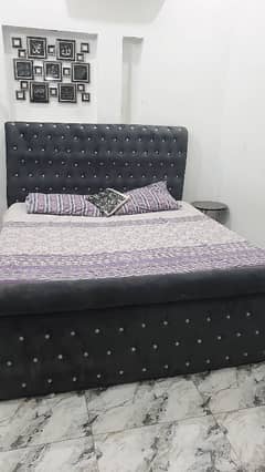 poshish bed