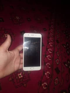 oppo F1s PTI proof