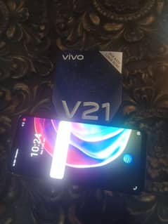 vivo