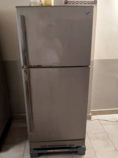 PEL Refrigerator