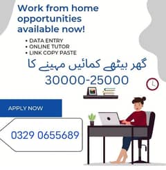 Online Part time/full time/home job/Assignments/Typing/Data entry/Ads