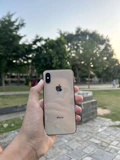 iPhone xs