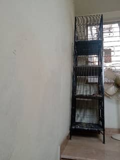 4 portion cage