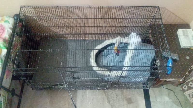 Birds Cage Pinjra Best Quality Pinjra 1