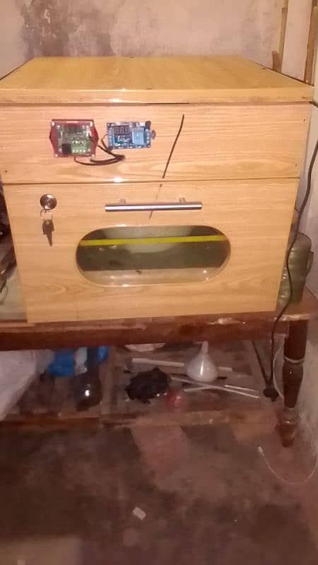 incubator 60 egg AC rolling ok ha 1