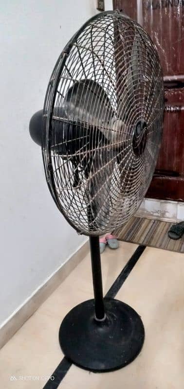 RAdo table fan 1