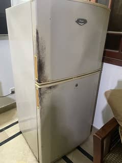 haier refrigerator