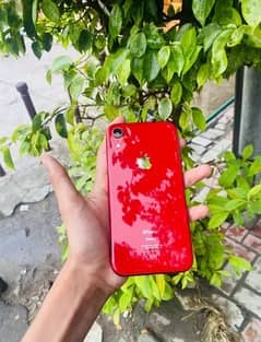 IPHONE XR 256 FU