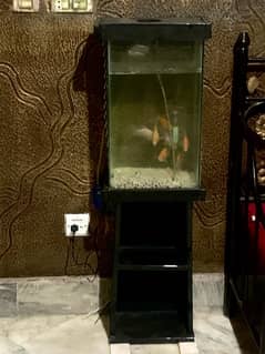 Fish Aquarium (Stand+Light+Oxygen Pump)