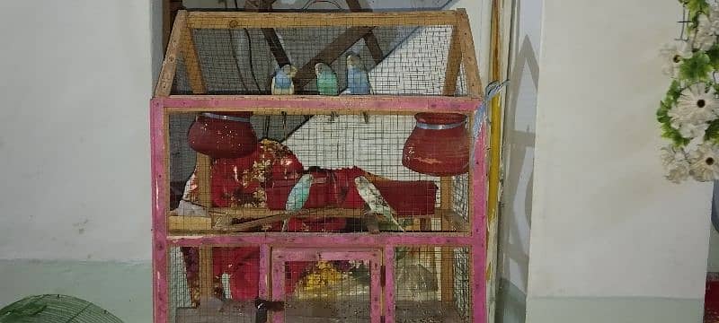 Stalian parrot with cage contact 03133266747 1