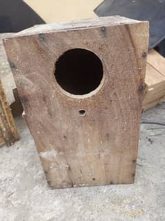 Ringneck box