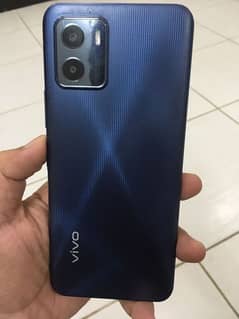 vivo