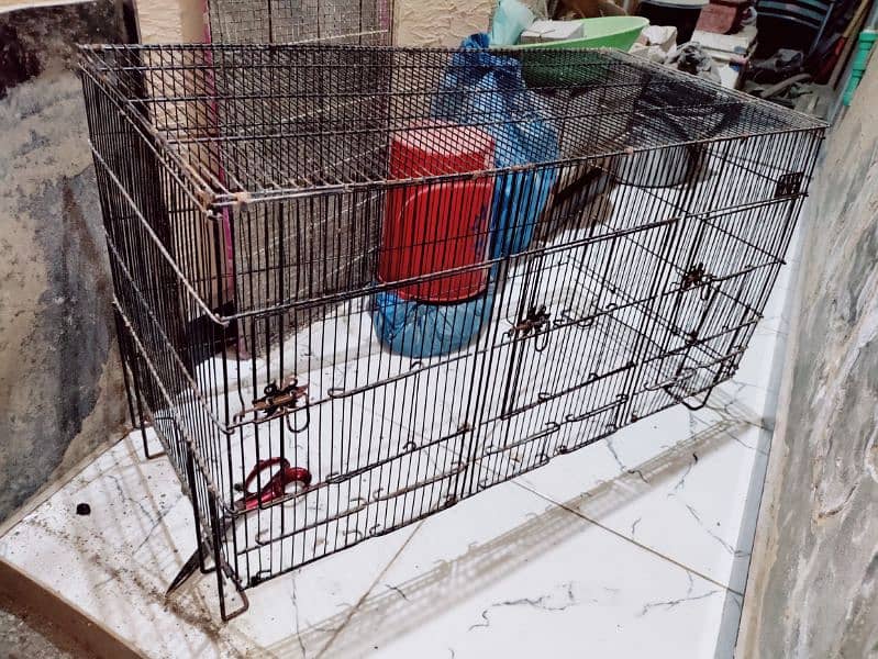 birds cage 3 portion folding cage 1