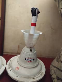 Philips